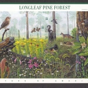 Scott# 3611 "LONGLEAF PINE FOREST" #4 NATURE SERIES, MNH