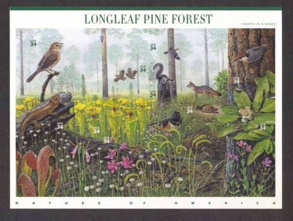 Scott# 3611 "LONGLEAF PINE FOREST" #4 NATURE SERIES, MNH