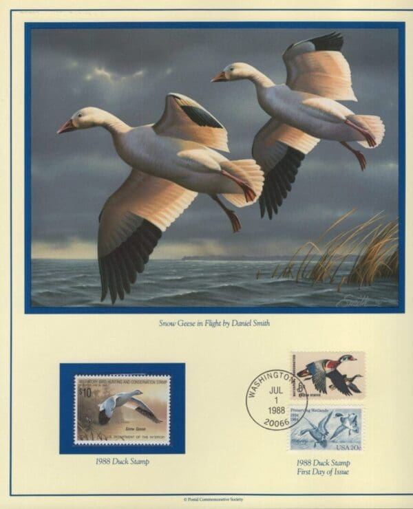 Scott# RW55 "DUCK STAMP" 1988 "SNOW DUCKS" P.C.S. STAMP FOLIO PAGES