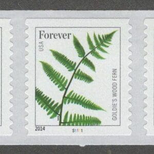 Scott# 4973-77 "FERNS" MNH PNC (5) P#S1111, 2014 DATE, W/BACK #1570