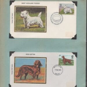 Alternative view of COLORANO SILK COVERS LOT (31)+BONUS (5) COVERS, BEAUTIFUL CACHETS