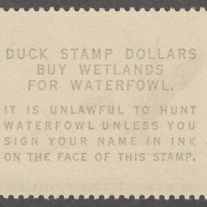 Alternative view of Scott# RW30 "DUCK STAMP" 1963 "BRANT DUCKS" MNH, NICELY CENTERED