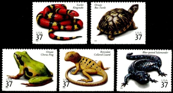 Scott# 3814-18 "REPTILES & AMPHIBIANS" SINGLES SET (5) MNH