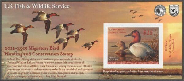 Scott# RW81a "DUCK STAMP" 2014 "CANVAS BACKS" MNH, VERY NICELY CENTERED