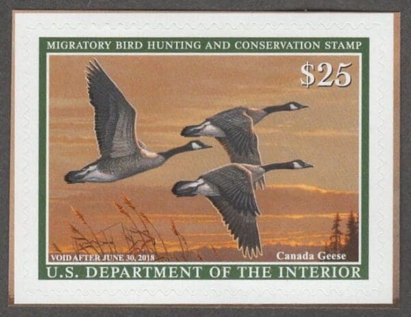 Scott# RW84 "DUCK STAMP" 2017 "CANADA GEESE" MNH S/A SINGLE, NICELY CENTERED