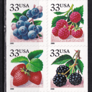 Scott# 3294d-97d "FRUIT BERRIES" (2000) UNFOLDED BOOKLET PANE (20) MNH