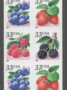 Scott# BK276a, 3301a,b,c "FRUIT BERRIES" (1999) UNEXPLODED BOOKLET (15) - Image 3
