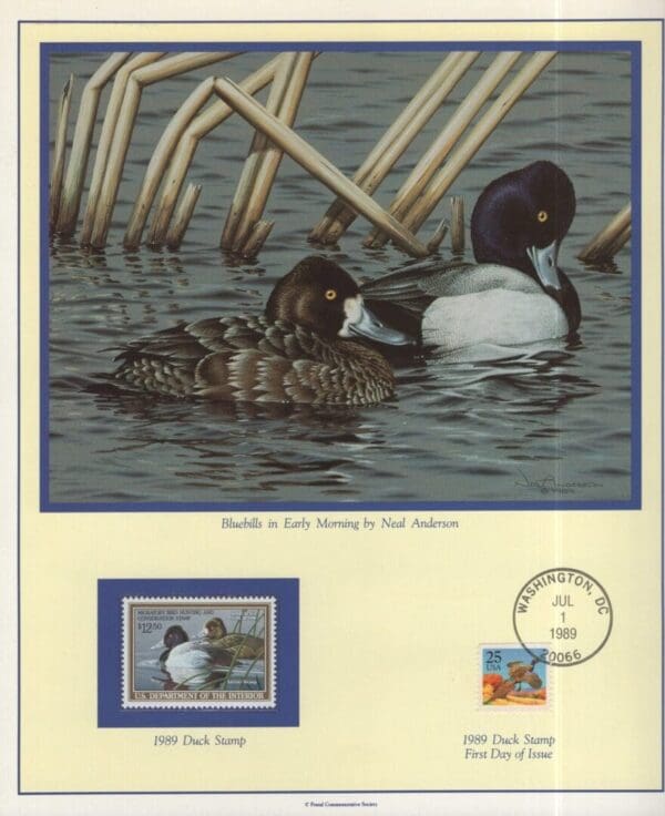 Scott# RW56 "DUCK STAMP" 1989 "LESSER SCAUP" P.C.S. FOLIO PAGES