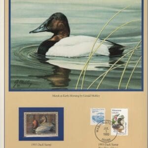 Scott# RW60 "DUCK STAMP" 1993 "CANVASBACKS" P.C.S. FOLIO PAGES