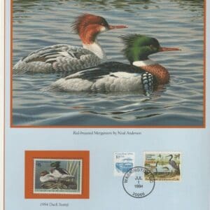 Scott# RW61 "DUCK STAMP" 1994 "RED BREASTED MERGANSER" P.C.S. FOLIO PAGES