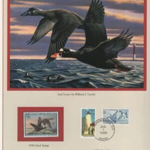 Scott# RW63 "DUCK STAMP" 1996 "SURF SCOTER" P.C.S. FOLIO PAGES
