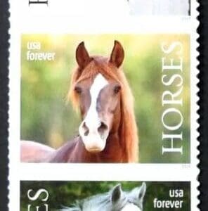 Scott# 5891-95 "HORSES" MNH VERTICAL STRIP (5) NICELY CENTERED