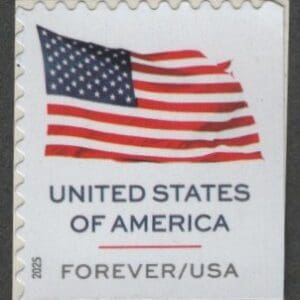 Scott# 6020 "U.S. FLAG" APU BOOKLET SINGLE