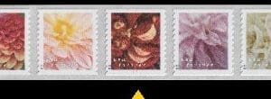 Scott# 5982-91 5991a "DAHLIAS" MNH PNC STRIP (17) FROM 10K COIL ROLL