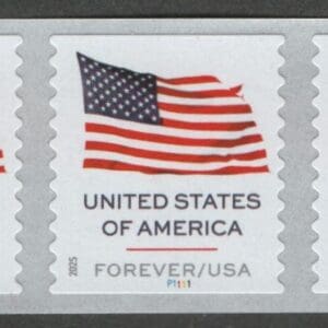 Scott# 6018 "U.S. FLAG" APU MNH PNC5 P# P1111 FROM 10K ROLL