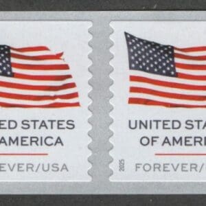 Scott# 6018 "U.S. FLAG" APU MNH COIL PAIR, NICELY CENTERED