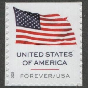 Scott# 6021 "U.S. FLAG" BCA BOOKLET SINGLE