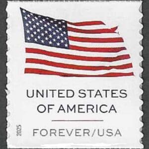 Scott# 6019 "U.S. FLAG" MNH BCA COIL SINGLE, NICELY CENTERED