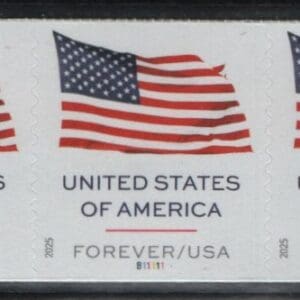 Scott# 6019 "U.S. FLAG" BCA MNH PNC5 P# B11111 FROM ROLL of 100