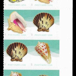 Scott# #5163-66 "SEASHELLS" MNH PLATE BLOCK (8) NICELY CENTERED
