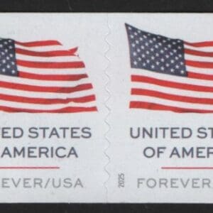 Scott# 6017 "U.S. FLAG" APU MNH COIL PAIR FROM 100 ROLL