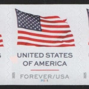 Scott# 6017 "U.S. FLAG" APU MNH PNC5 P# P1111 FROM 100 ROLL