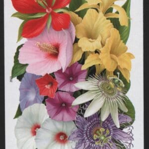 Scott# 4750-53 "LA FLORIDA FLOWERS" NO DIE CUT BLOCK (4) MNH